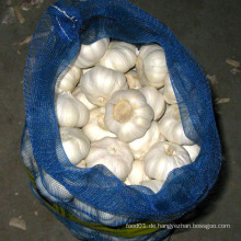 Exportieren Sie gute Qualität frische chinesische Mesh-Tasche Pure White Knoblauch Verpackung